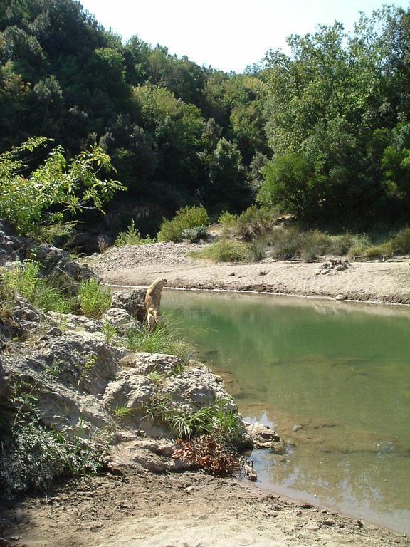 Agriturismo Il Casalino Pari Zewnętrze zdjęcie