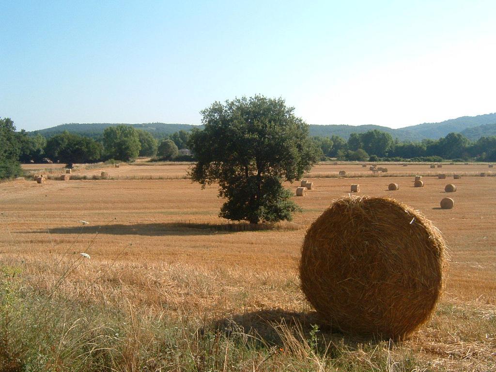 Agriturismo Il Casalino Pari Zewnętrze zdjęcie