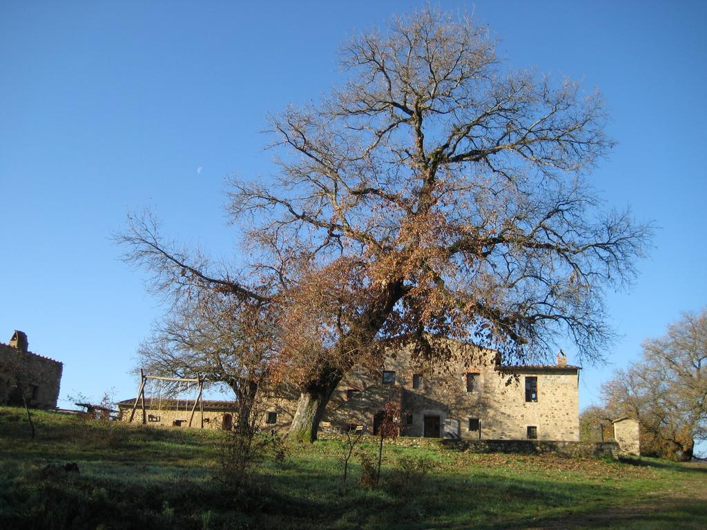 Agriturismo Il Casalino Pari Zewnętrze zdjęcie